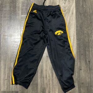 Iowa Hawkeye Pants